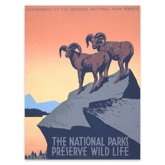 Retro Naturschutz Poster mit dem Text The National Parks Preserve Wild Life.